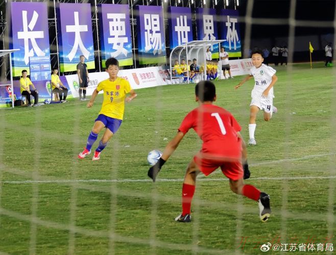 开云：第25届“贝贝杯”开赛，足球少年逐梦张家港